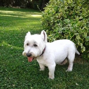 Meet your Posher, Jan